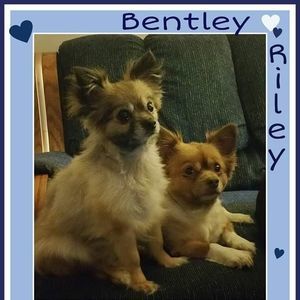 Meet your Posher, Stacy